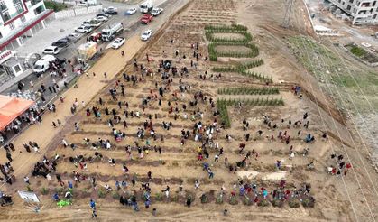 100. Yıl Cumhuriyet Hatıra Ormanı’na 2023 adet fidan dikildi