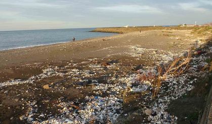 Biz kirlettik, dalgalar geri verdi