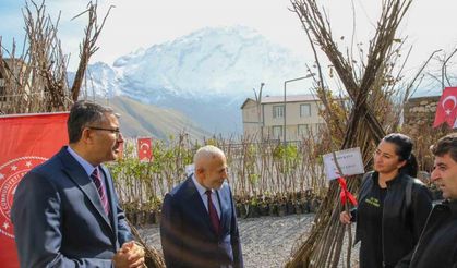 Hakkari’de 31 bin 460 meyve fidanı dağıtıldı
