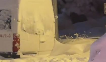 Uludağ’da kış uykusuna yatamayan ayılar yemek aramaya çıktı